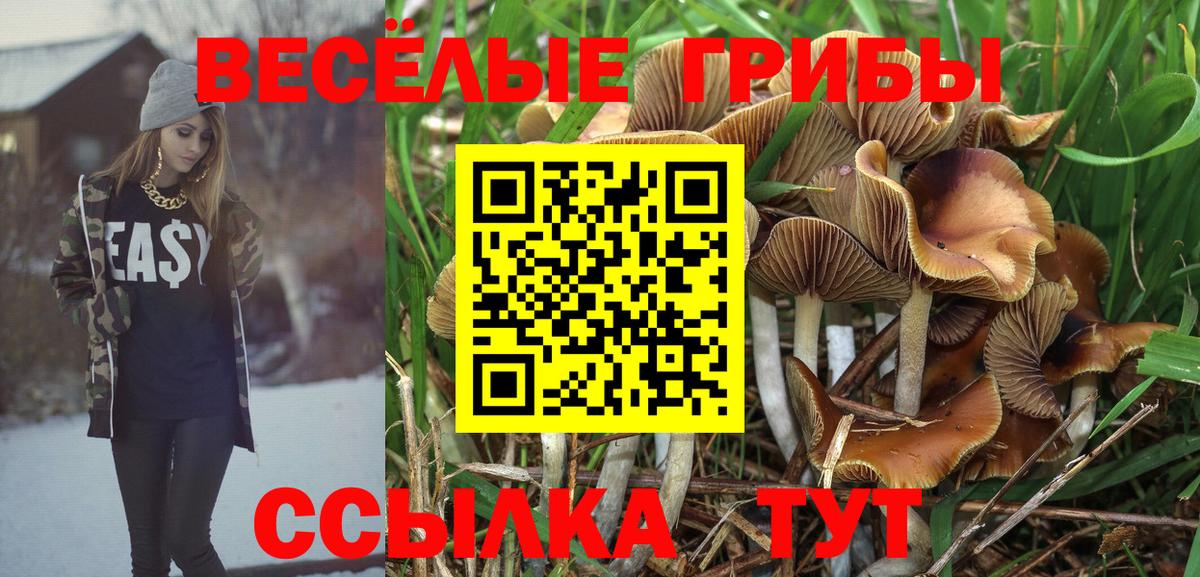 Кашира  Галлюциногенные грибы прущие грибы  Галлюциногенные грибы ЛСД  Вход с VPN 