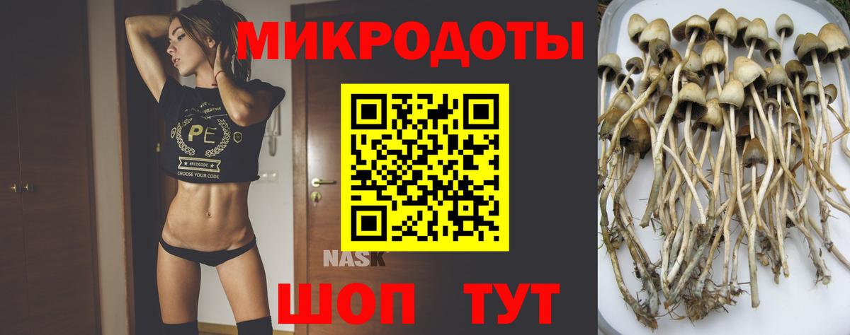 Псилоцибиновые грибы GOLDEN TEACHER Кашира